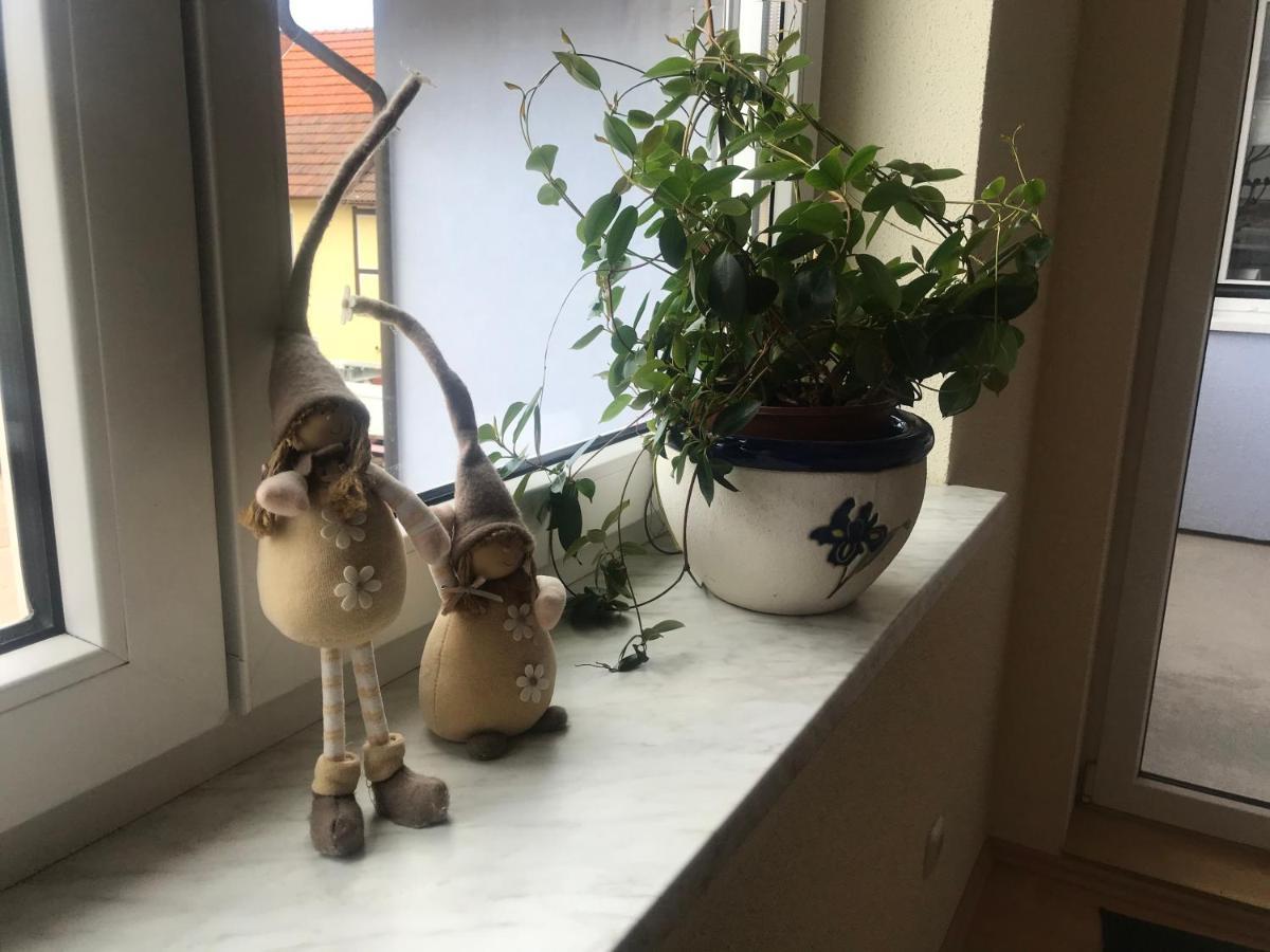 Ferienwohnung Am Gruenen Band Hellingen 外观 照片