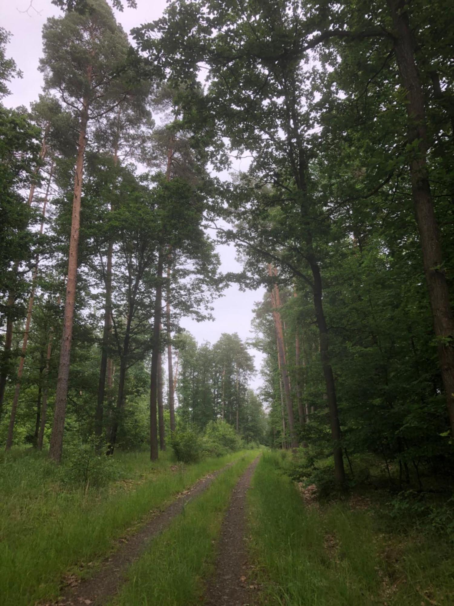 Ferienwohnung Am Gruenen Band Hellingen 外观 照片